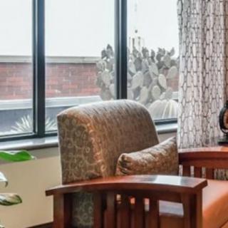 A cozy living room corner with an upholstered chair by the window, adorned with a patterned cushion and surrounded by a decorative plant.