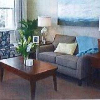 A cozy living room with a gray sofa, wooden coffee table, and decorative elements including a painting and plants.