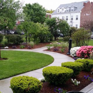 A beautifully landscaped garden with a winding pathway, surrounded by shrubs, colorful flowers, and trees in a residential area.