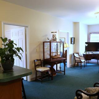 A cozy living room with elegant furniture and a houseplant, featuring a display cabinet and chairs on a soft carpet.