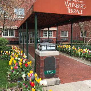 The entrance to Wynberg Terrace, adorned with colorful tulips in full bloom, welcoming visitors in the springtime.