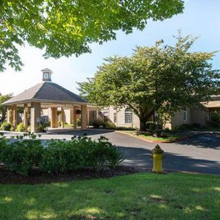 A charming building with a driveway, surrounded by trees and greenery.