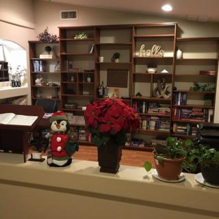 Cozy library with bookshelves and festive decorations.