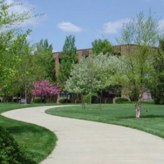 A scenic pathway lined with trees on a lush campus.