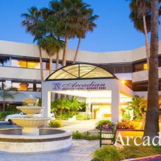 A stylish hotel entrance with a fountain and palm trees at dusk.
