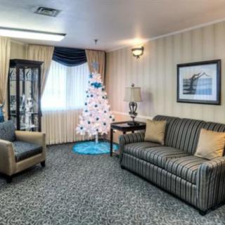 A cozy living room with a striped sofa, armchair, and a small decorative tree by the window.