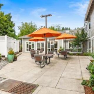 A sunny outdoor patio area with tables and orange umbrellas.