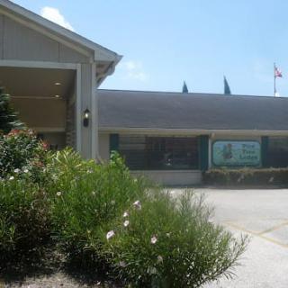 A view of a one-story building surrounded by greenery on a sunny day.