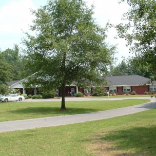 A suburban brick house with a circular driveway and large tree in the front yard.