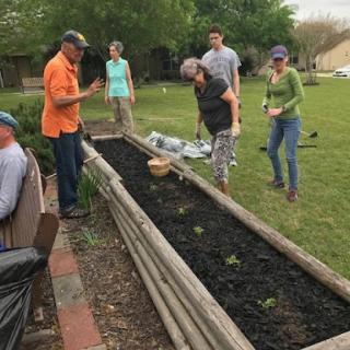 A group of people engaged in gardening and planting in a vegetable garden.
