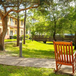 A peaceful garden area with a wooden bench, surrounded by lush greenery and trees.