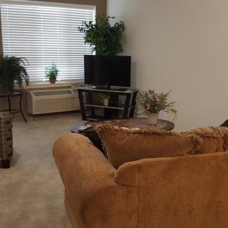 A cozy living room with a sofa, television, and indoor plants.