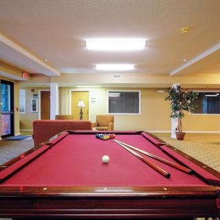 A cozy indoor recreation area featuring a billiard table with cue sticks and a ball, surrounded by lounge furniture.