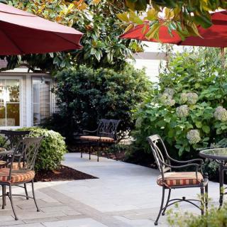 A cozy patio with tables and chairs, shaded by red umbrellas and surrounded by lush greenery.