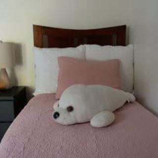 A cozy bedroom setting with a seal plush toy on the bed.