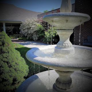 A serene fountain surrounded by lush greenery in a tranquil garden setting.