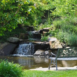 A serene garden scene featuring a tranquil waterfall and a bench by the water.