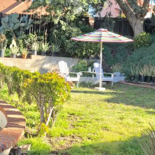 A sunny garden with a lawn, an umbrella, and chairs.