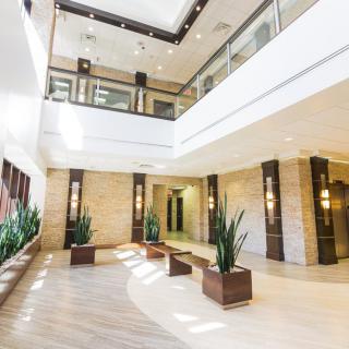 A modern lobby with natural lighting and minimalist design features, including indoor plants and stylish light fixtures.