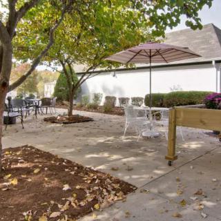 A tranquil outdoor patio area with tables, chairs, and a large umbrella under the trees.