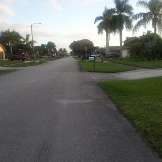 A quiet suburban street lined with palm trees and houses.