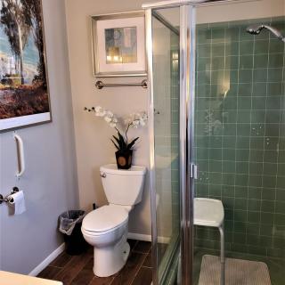 A modern bathroom featuring a glass-enclosed shower with green tiles, a toilet, and decorative elements such as an indoor plant and wall art.