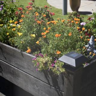 A wooden planter box filled with vibrant flowers in an outdoor setting.