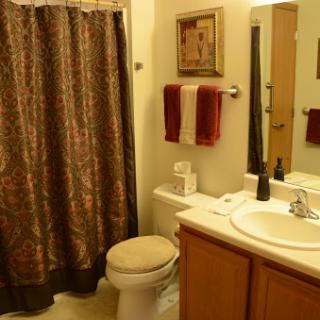 A view of a small and tidy bathroom featuring essential fixtures such as a toilet, sink, and a decorative shower curtain.