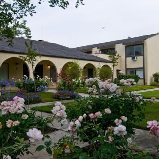 A picturesque building surrounded by a well-maintained garden filled with blooming roses.