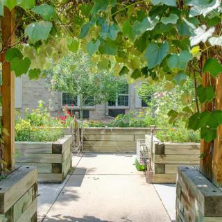 A lush garden pathway shaded by overhanging greenery.