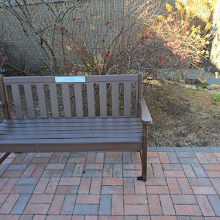 A wooden bench in a tranquil outdoor setting, surrounded by nature.