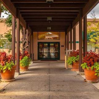 An inviting entrance with potted plants lining the walkway.