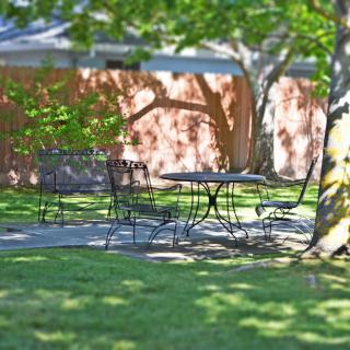 A tranquil garden scene with a metal table and chairs under the shade of trees on a sunny day.