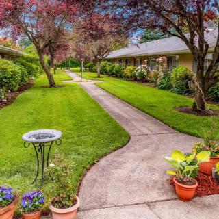 A beautifully landscaped garden with a winding pathway, vibrant flowers, and lush greenery.