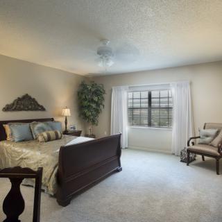 A cozy bedroom with a large bed, carpeted floor, and ample natural light from a window.