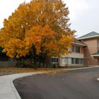 A vibrant autumn tree with orange leaves stands beside a brick building and sidewalk.