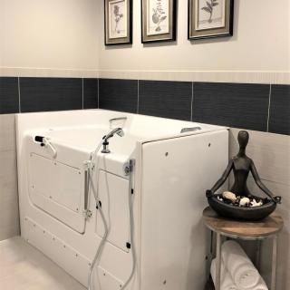 A modern bathroom featuring a walk-in bathtub with artistic decor.