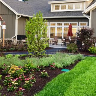 A beautifully landscaped garden with a lush lawn in front of a modern house with a patio.