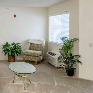 A cozy corner with a chair, glass table, and indoor plants near a window.
