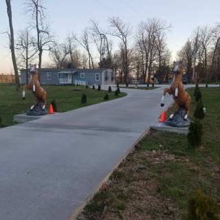 A concrete driveway lined with horse statues leads to a house surrounded by trees.