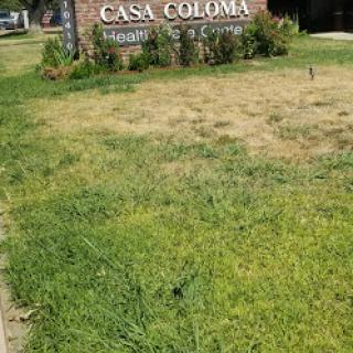 A sign for Casa Coloma surrounded by grass.