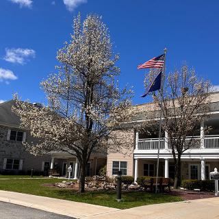 A residential building with blooming trees and flags on a sunny day.
