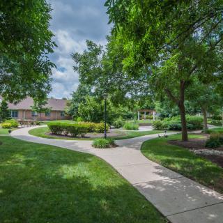 A scenic view of a park with winding pathways and lush green trees.