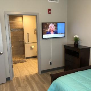 A cozy bedroom with a view into the bathroom, featuring a television and a decorative plant.