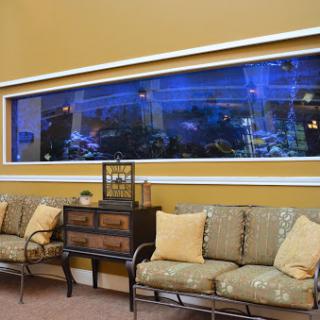 A cozy living room featuring a comfortable sofa and a stunning aquarium with blue lighting.