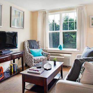 A cozy living room featuring a sofa, armchair, coffee table, and a TV with natural light streaming through the window.