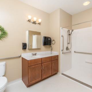 A well-designed, accessible bathroom with a vanity, mirror, shower area, and grab bars.