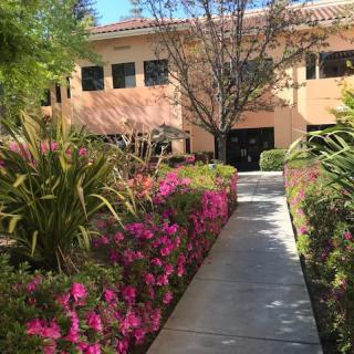 A scenic pathway lined with vibrant flowers and greenery leads to a building under a clear blue sky.