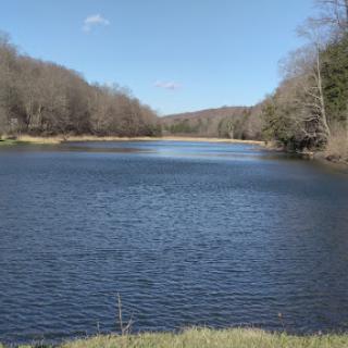 A serene view of a tranquil lake surrounded by trees under a clear blue sky.