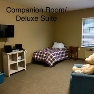 A cozy companion room with a bed and television in a deluxe suite.